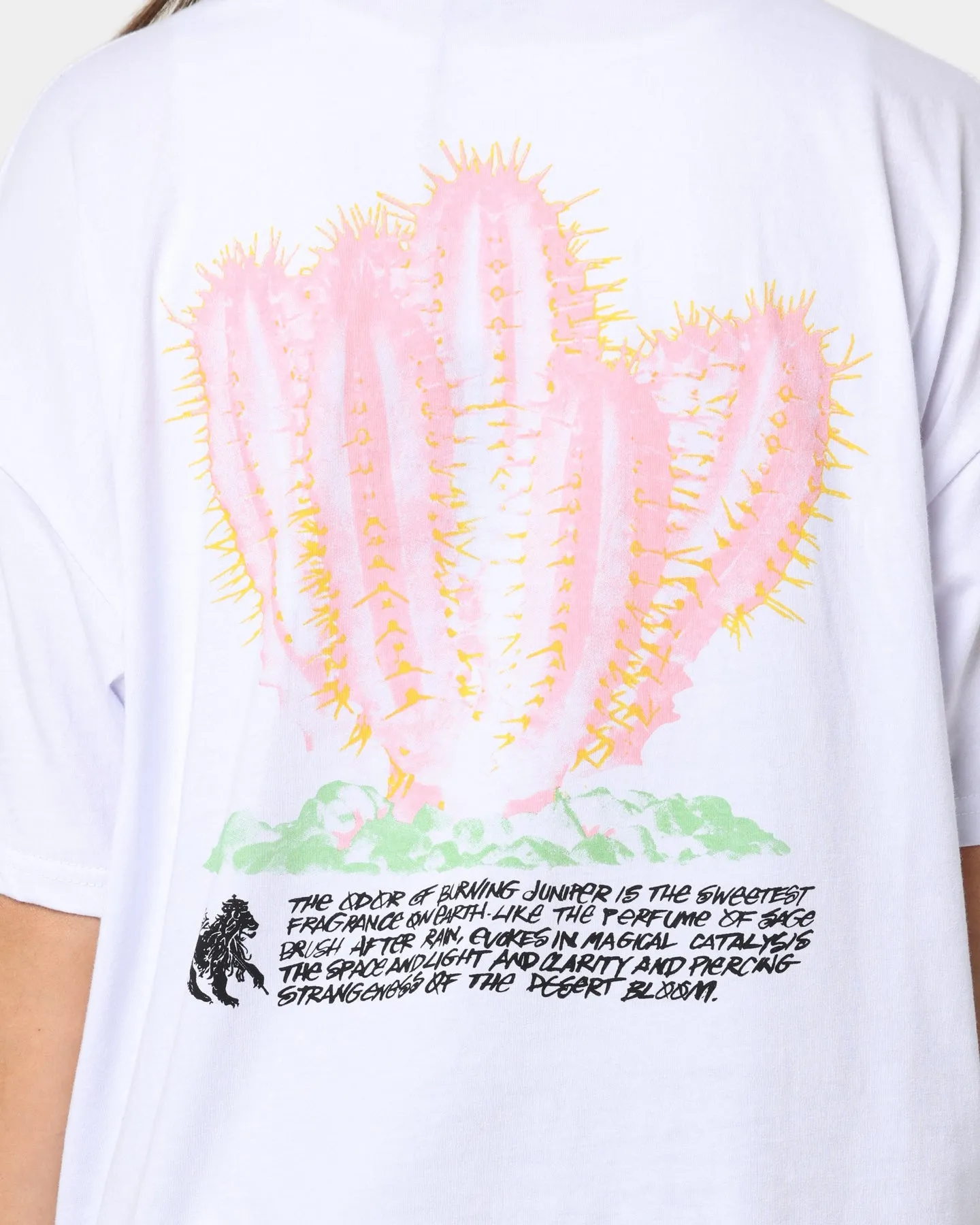 Stussy Women's Desert Bloom Relaxed T-Shirt White